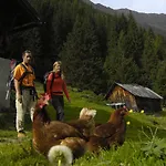 Aparthaus Stubai ノイシュティフト・イム・シュトゥーバイタール